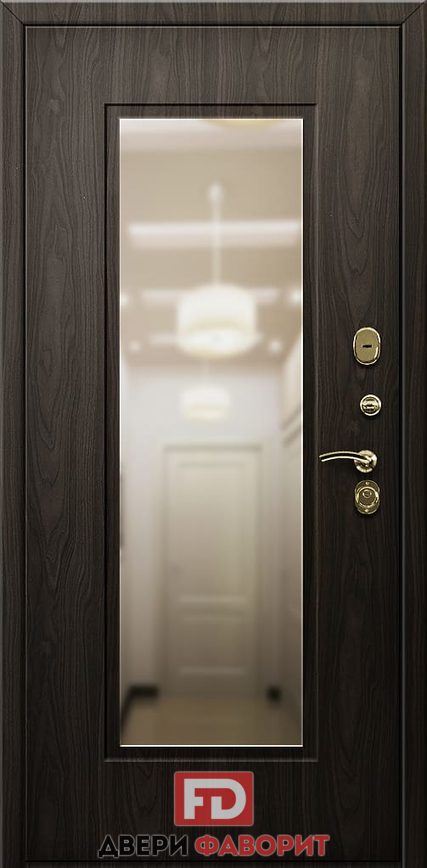 одностворчатая дверь в квартиру с зеркалом